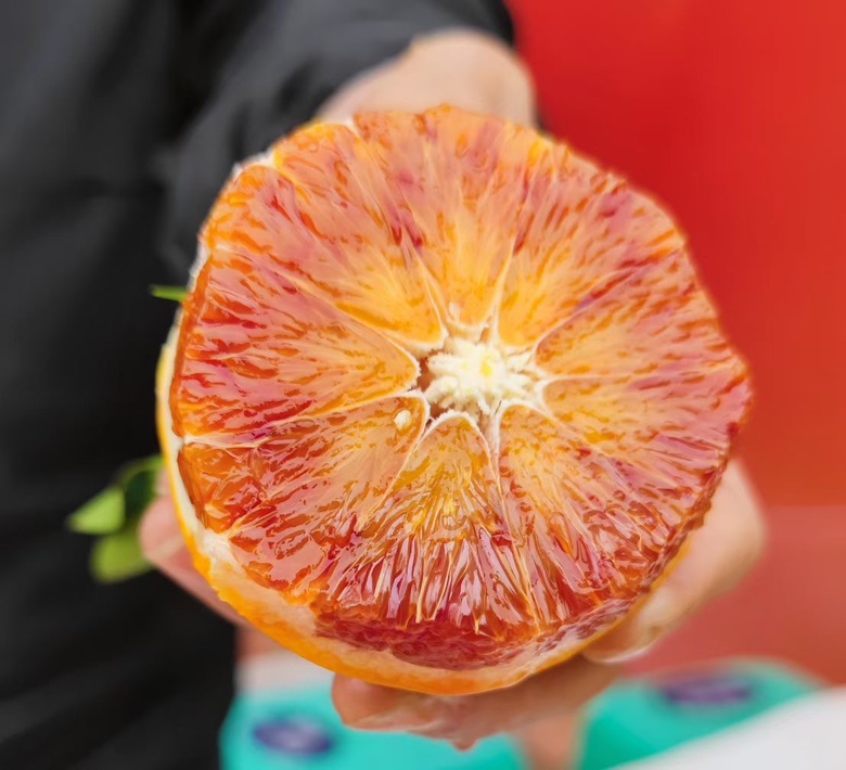 一位营养师正在实验室显微镜前分析血橙提取物样本，旁边摆放着试管和数据图表