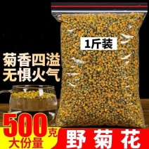野菊花茶野菊花正宗野生干野菊花胎菊苦小干米菊野菊花中药材