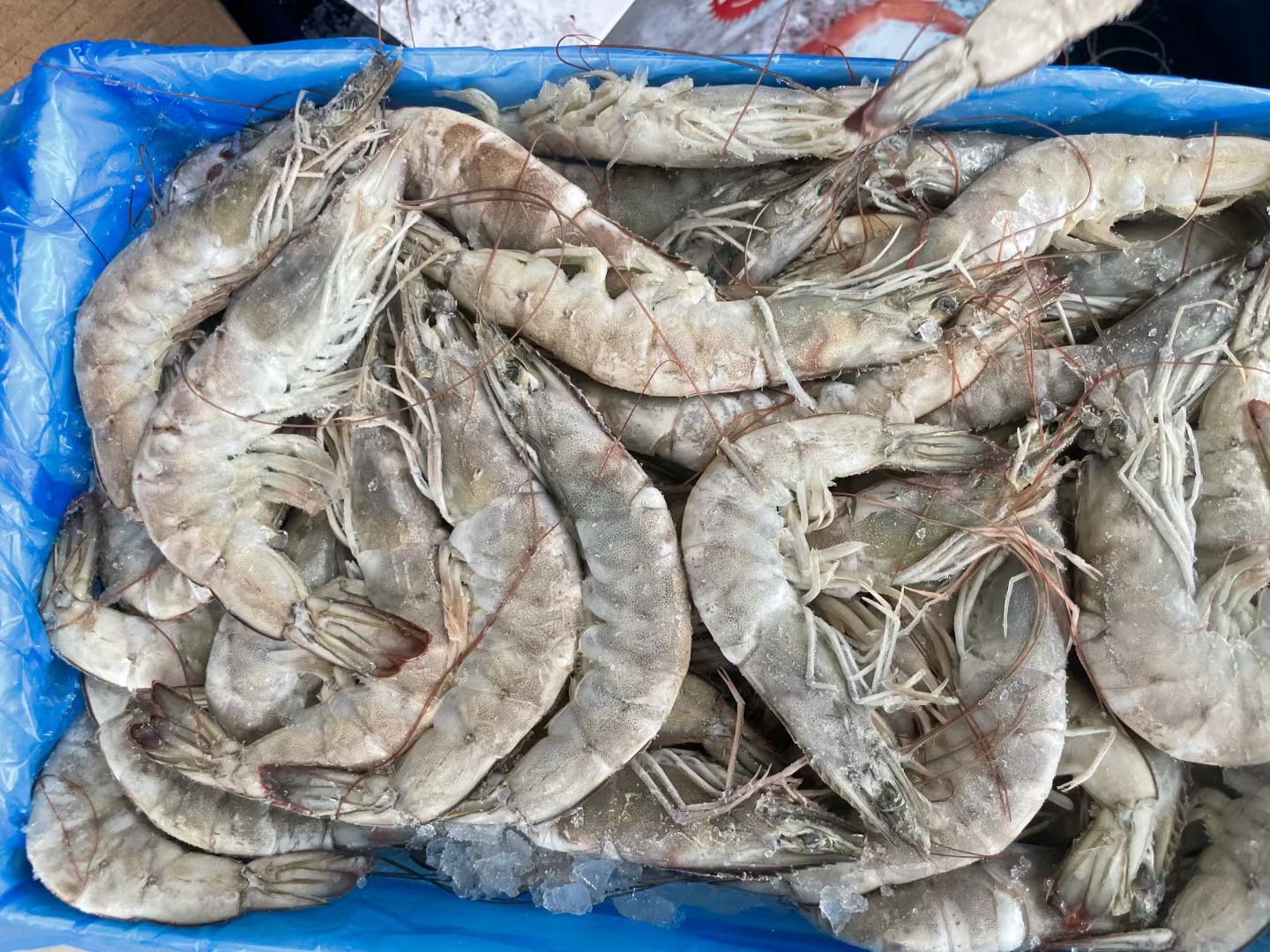 对虾深加工车间自动化虾仁分级包装线