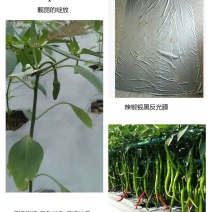 农用地膜打孔地膜