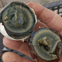 湖北松花蛋，无铅松花蛋，常年供货，欢迎各位老板电话联系~