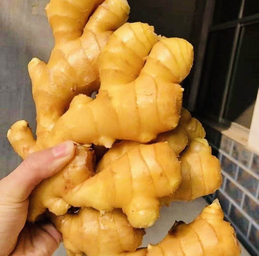 大黄姜制作的黄金奶