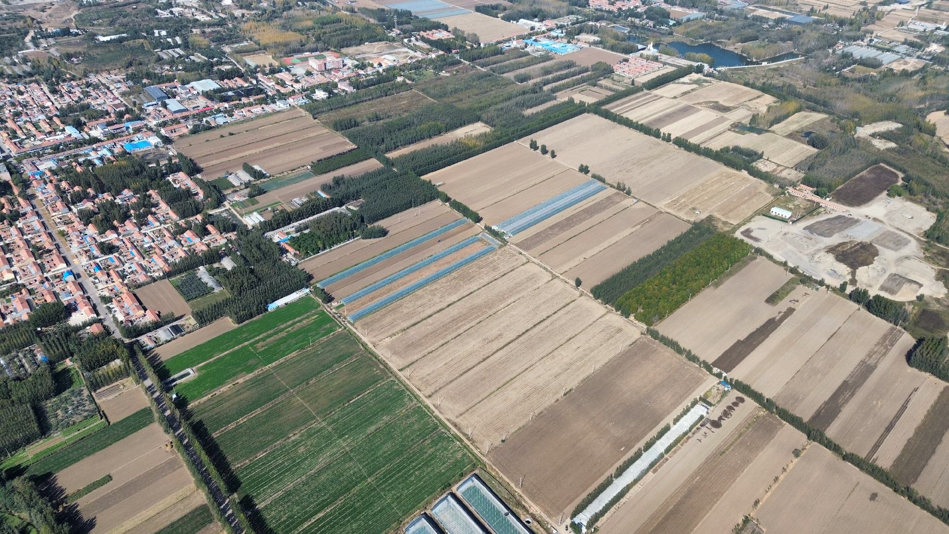 大豆生物育种前沿工作实景,展示高产性状定向筛选过程,体现‘正常亩产’提升背后的科技支撑逻辑 现代化大豆育种实验室场景:科研人员在光照培养箱旁观察不同品系大豆幼苗长势,背景为分子标记检测设备与基因图谱展板