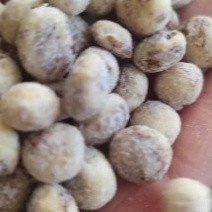 新疆脱皮油莎豆，一手货源，产地直发，品质保证，欢迎采购