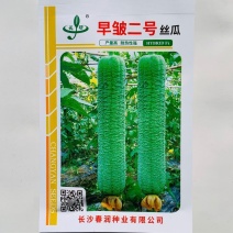皱皮丝瓜种子长沙农科院早皱二号丝瓜种子耐热性强产量高褶皱