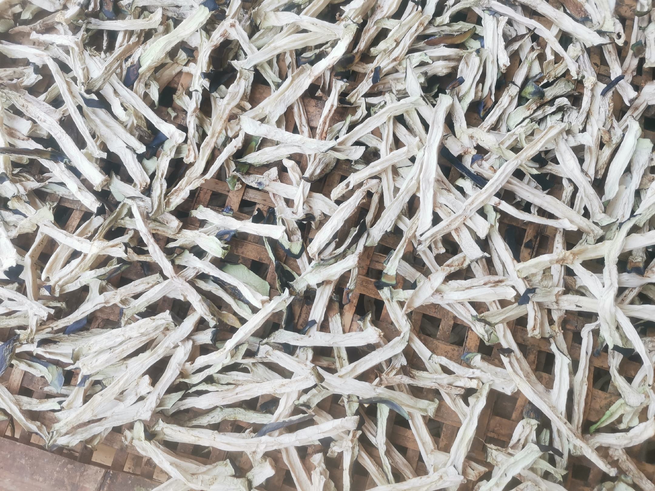 多位农户在田间分拣刚采挖的苗竹笋,桌上摆放不同规格的笋体,按长度和粗度分类,旁边有工作人员记录数据,背景可见成筐包装好的成品笋,体现规范化初加工流程 苗竹笋采收与分级处理现场