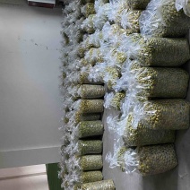 大量出售四川橄榄.量大从优.欢迎骚扰！
