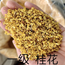 批发桂花之乡湖北省咸宁市干桂花微波桂花