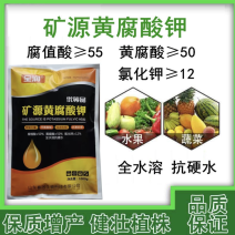 矿源黄腐酸钾全水溶抗硬水一公斤一袋优惠促销