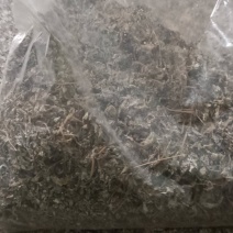 茶叶（春茶