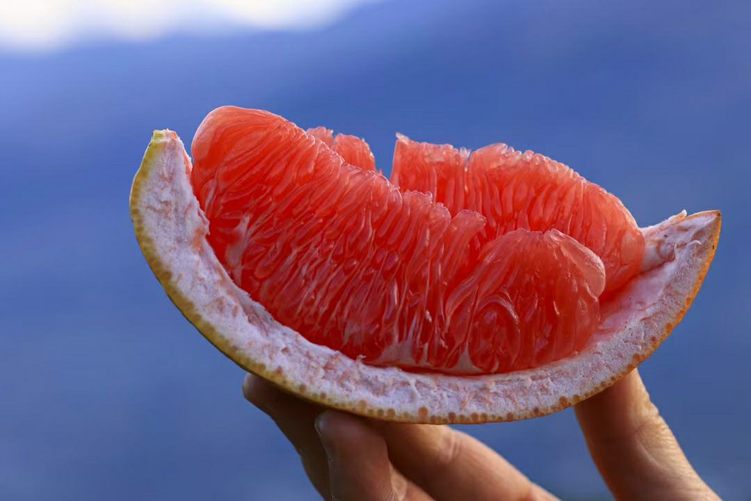 信息图表式摄影:专业营养师在新鲜红心葡萄柚果肉旁放置手写营养标注卡,清晰标示中国疾控中心最新检测数据,背景为实验室白板,体现权威可信场景 营养师手写标注图:红心葡萄柚营养标签特写,重点圈出'维生素C 61mg/100g'、'柚皮素 352mg/100g'、'膳食纤维 1.6g/100g'三项数据,并旁注'超每日参考值68%'、'黄酮类抗氧化主力'、'饱腹缓释血糖'