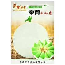 玉如意正圆玉菇甜瓜种子薄皮杂交甜瓜种籽抗病白皮绿肉质脆大