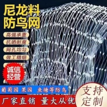 防鸟网葡萄园蓝莓园樱桃园鱼塘等防鸟用网可以视频看货