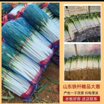 费县大葱，费县铁杆大葱〔净葱〕现加工，对接市场电商货，农