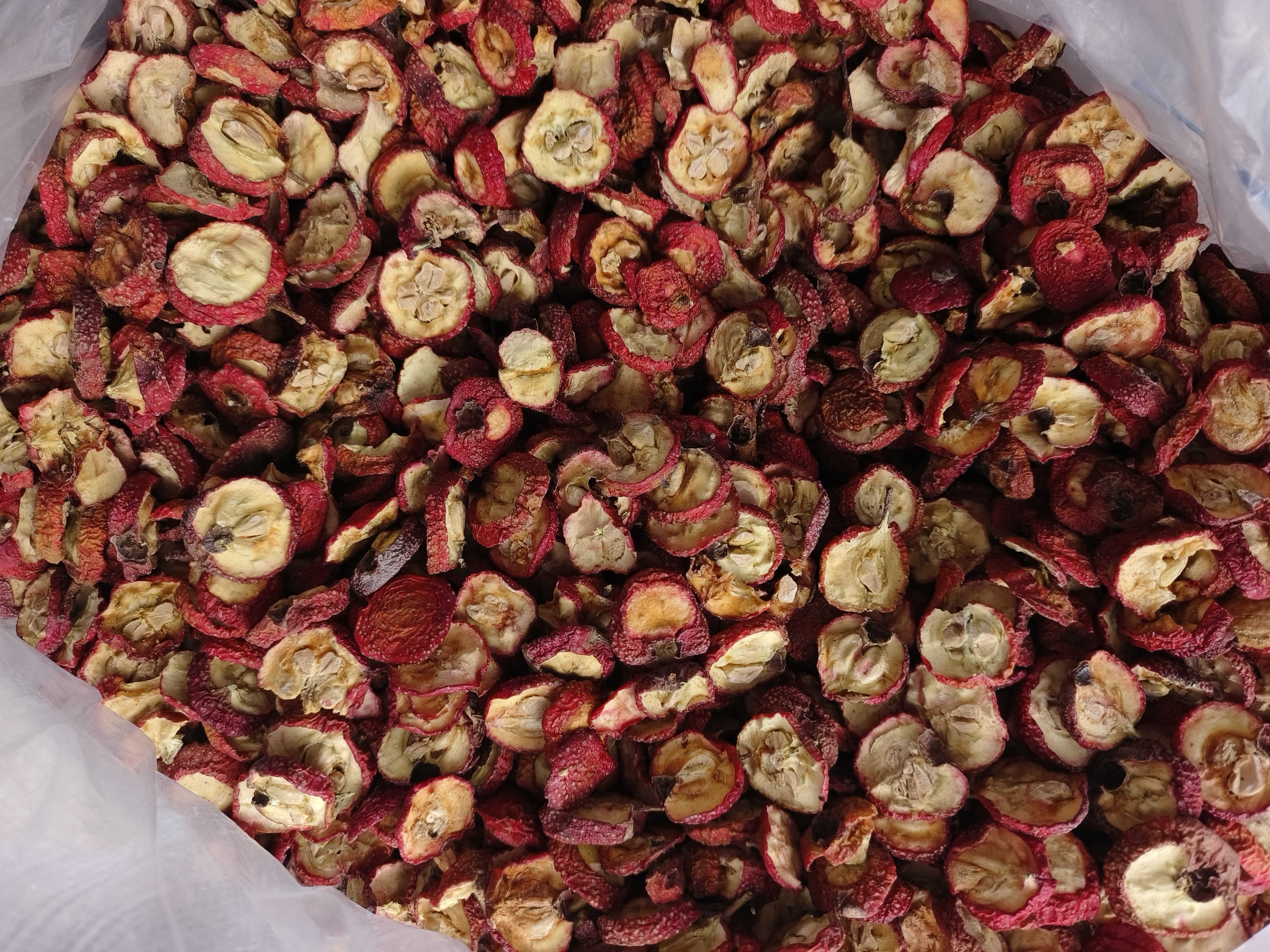 左侧为新鲜红色山楂果实,表面有细小斑点,顶端有萼片残留;右侧为干燥的西洋参切片,呈浅黄色至黄褐色,断面纹理清晰,质地坚实,边缘略带环状纹路 山楂与西洋参实物对比图