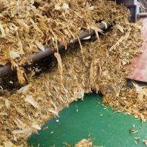 黄储玉米厂家供应保证质量常年供应量大从优保证质量