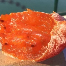 流芯枯露柿饼（出口级别），顺丰快递礼盒包装，支持一件代发