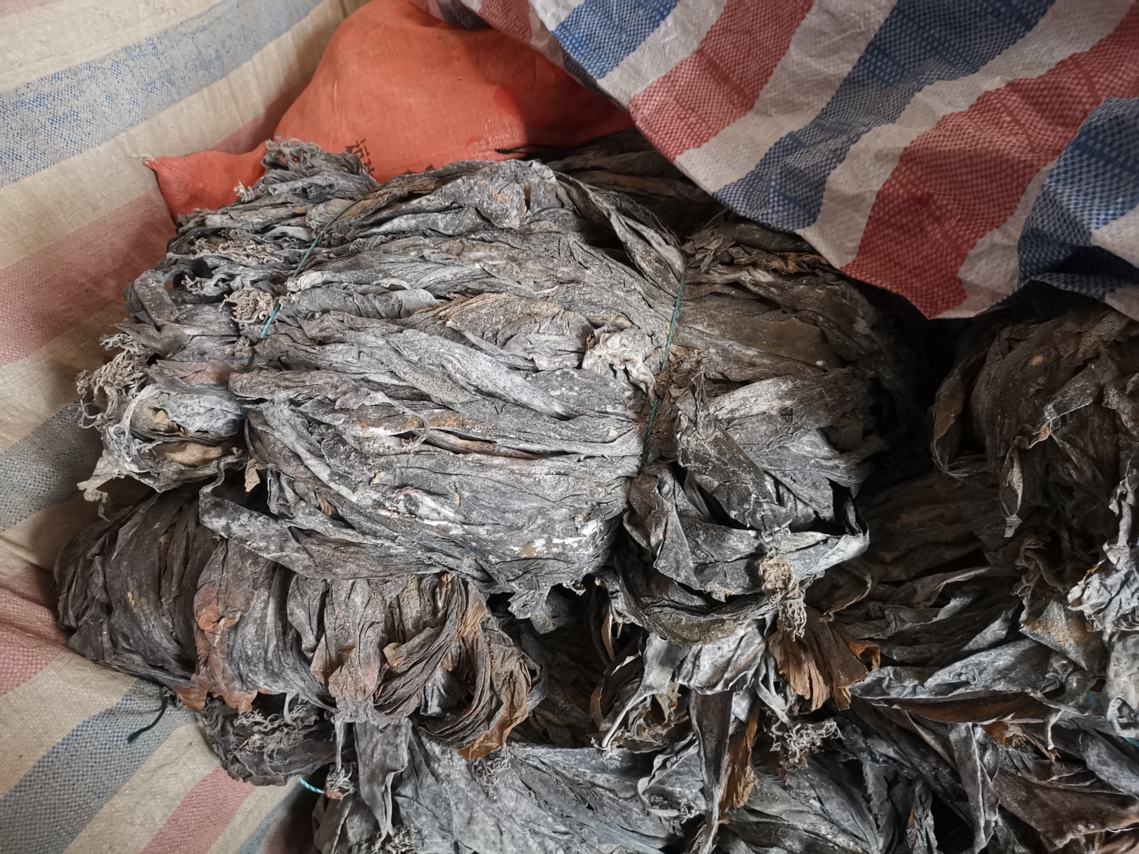 干海带密封保存示意图