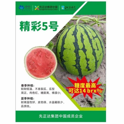 扶沟县麒麟西瓜种子产地行情