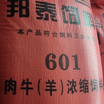 肉牛羊浓缩饲料，601肉牛羊浓缩料，精品育肥浓缩