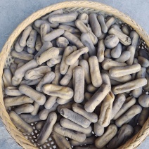 灰豆腐果