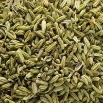 茴香茴香子茴香籽