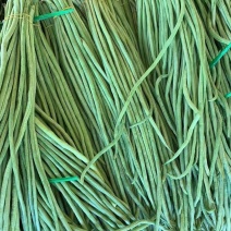 豆角豇豆新鲜长豆角豆角新鲜批发缸豆蔬菜可做酸