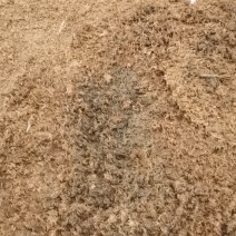 稻壳粪种鸭稻壳粪