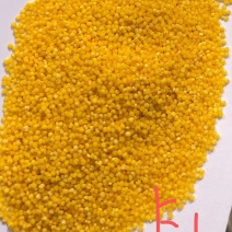 朝阳小米，大黄米