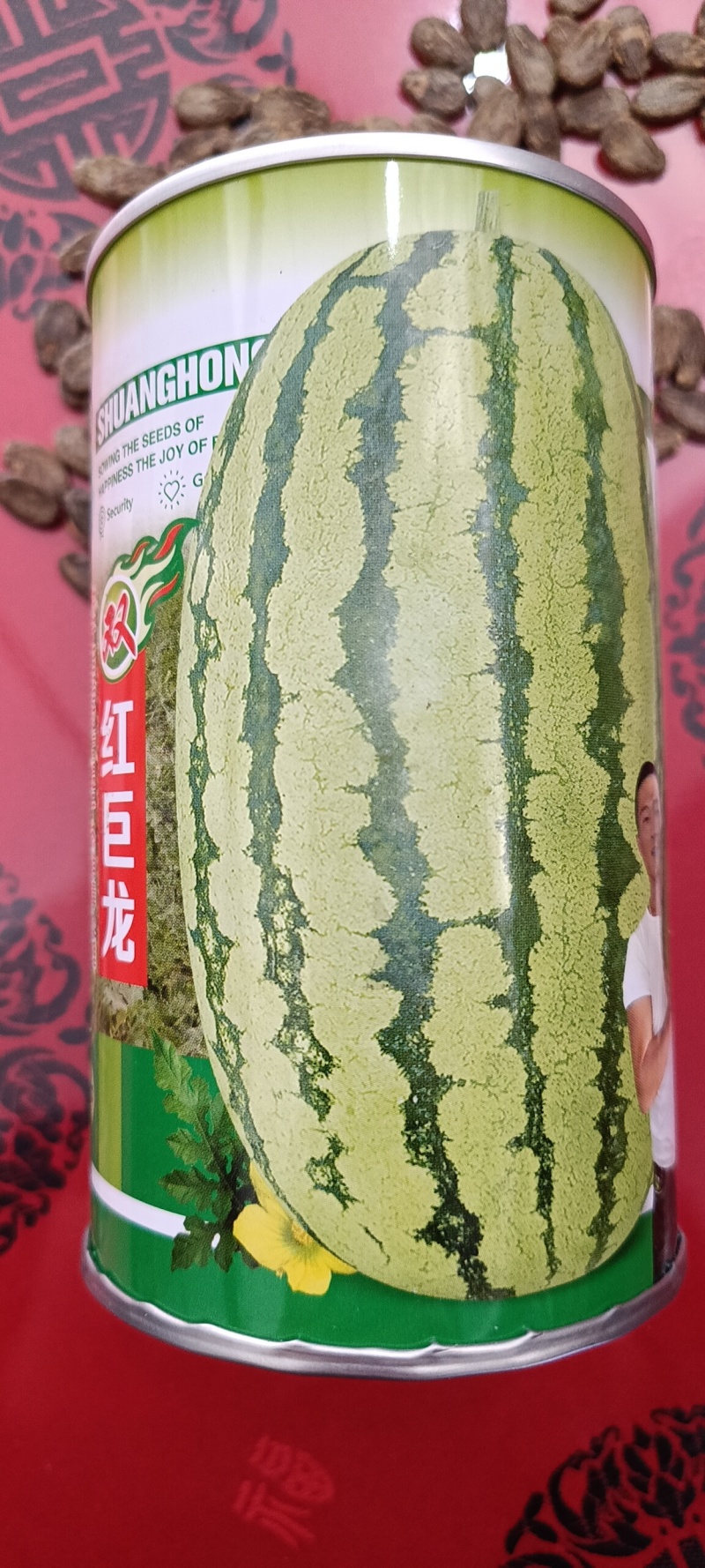 双红巨龙西瓜种子高产抗病长椭圆果型西瓜种子精品