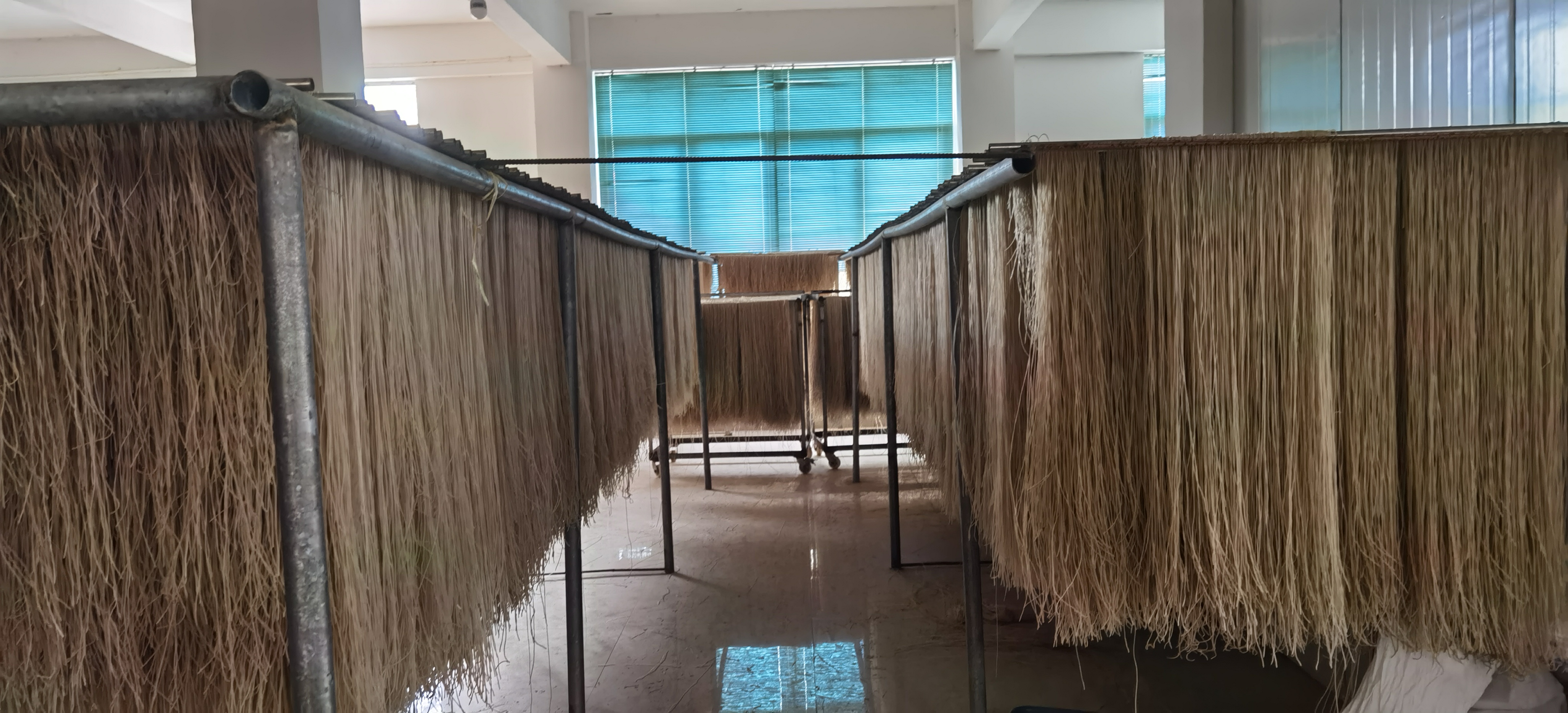 专业实验室环境:操作台摆放已称重的烟薯25号粉末样品、氧弹量热仪主机及数据记录平板,技术人员佩戴手套规范操作,体现热量测定的科学严谨性 实验室场景:科研人员使用氧弹量热仪测定烟薯25号样品热量值