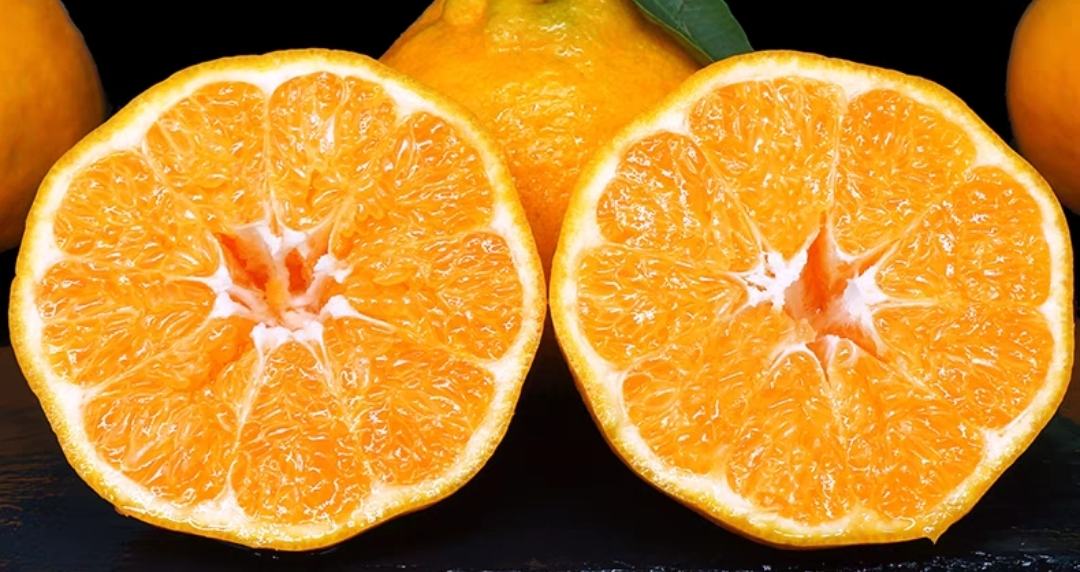 高分辨率微距照片,展示三类切开的小型柑橘果实横截面:左边为金桔,果肉紧实、汁胞清晰、种子少;中间为金豆,果肉干涩、汁液少、中心有较大空腔;右边为四季橘,果肉松散、多汁但纤维感强;背景为浅灰色大理石台面,光线柔和,突出内部结构差异 一盘切开的小型柑橘类果实特写