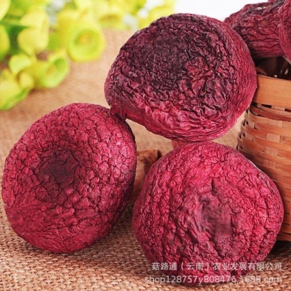 红菇价格行情_今日红菇价格多少钱一斤 _ 一亩田