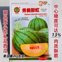 优质礼品西瓜种子彩虹瓤小型西瓜种籽糖度高皮薄酥脆七彩西瓜