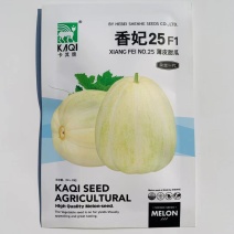 中早熟杂交一代薄皮甜瓜种子果皮黄白色有绿纹果肉淡黄糖度高