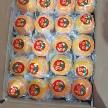 广西脆柿，柿饼，
