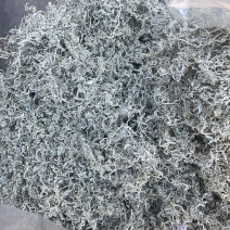 特级芽尖莓茶