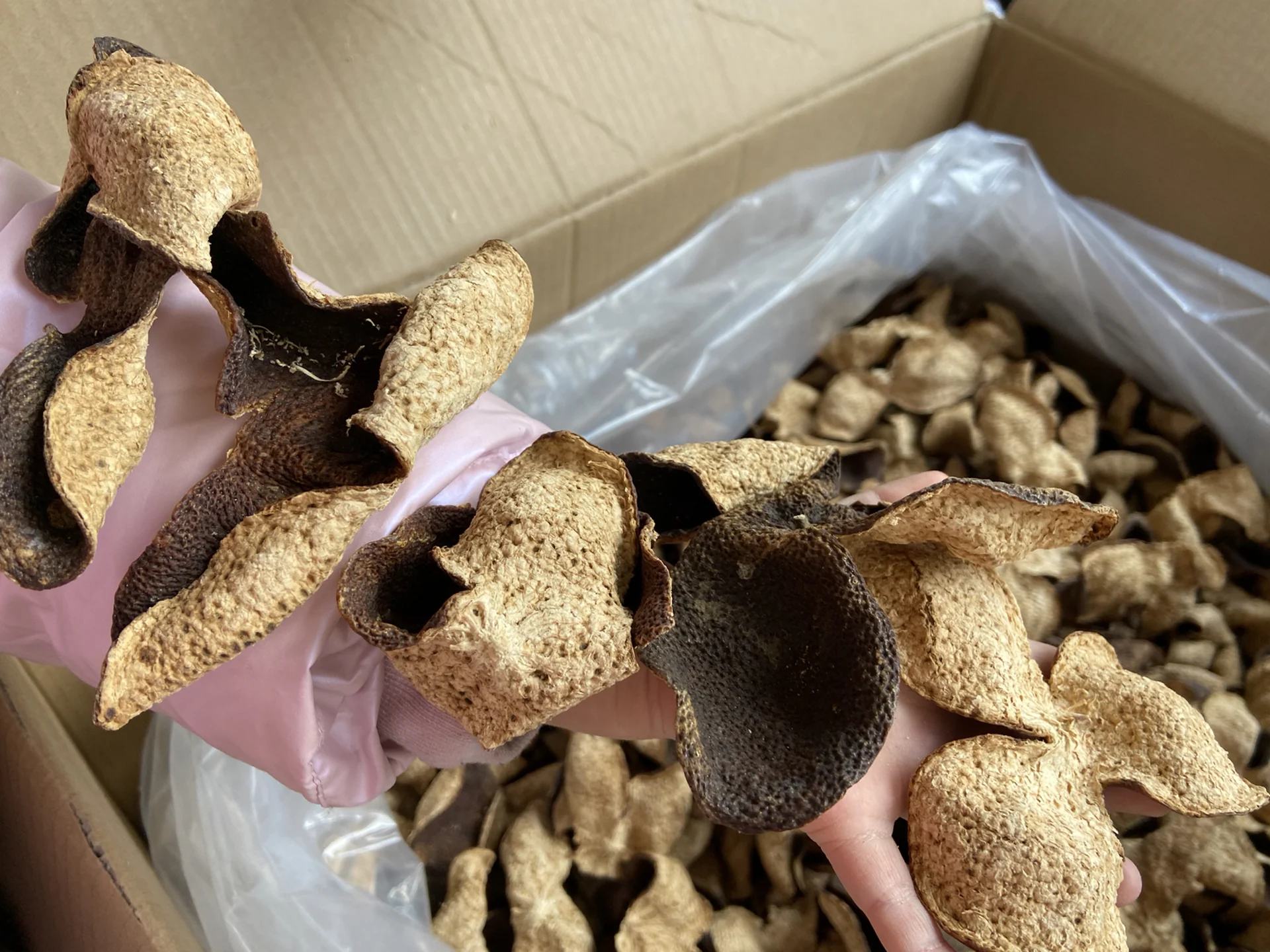 金桔与陈皮的搭配