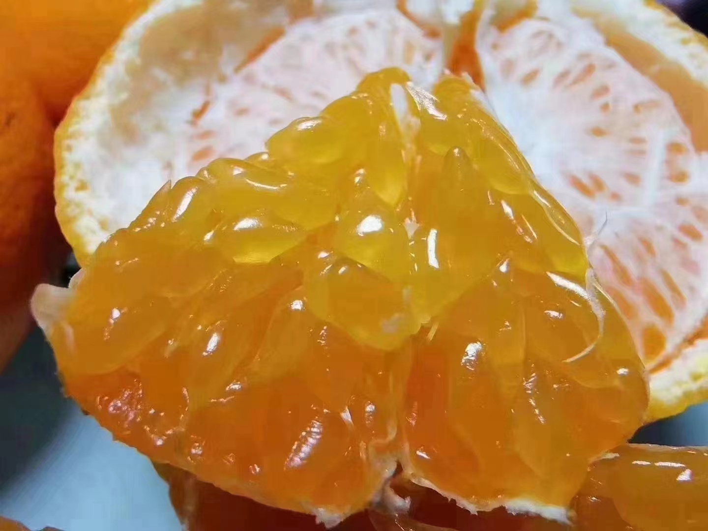 耙耙柑切面特写
