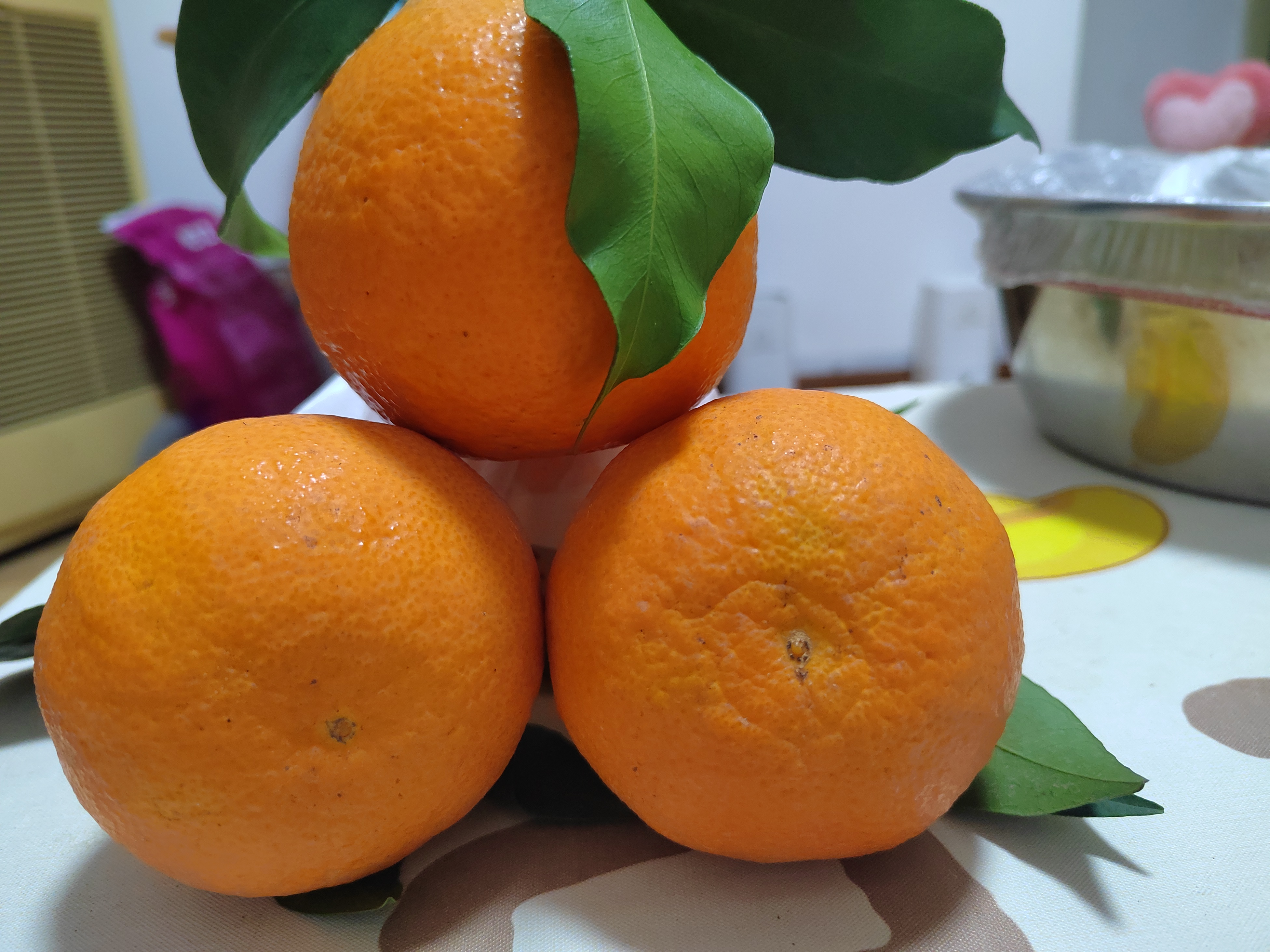 爱媛橙与脐橙对比图