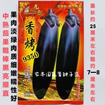 茄子种子香烤9350烤茄子种子中熟茄果粗棒黑亮顺直果肉淡