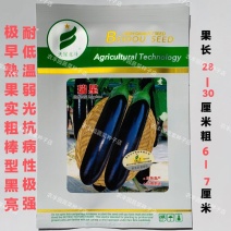 茄子种子天星北斗瑞星茄子种子耐低温弱光抗病强皮色黑亮茄子