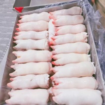 带筋猪蹄