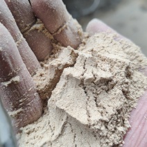 纯正37糠(米糠)超低价大量接单