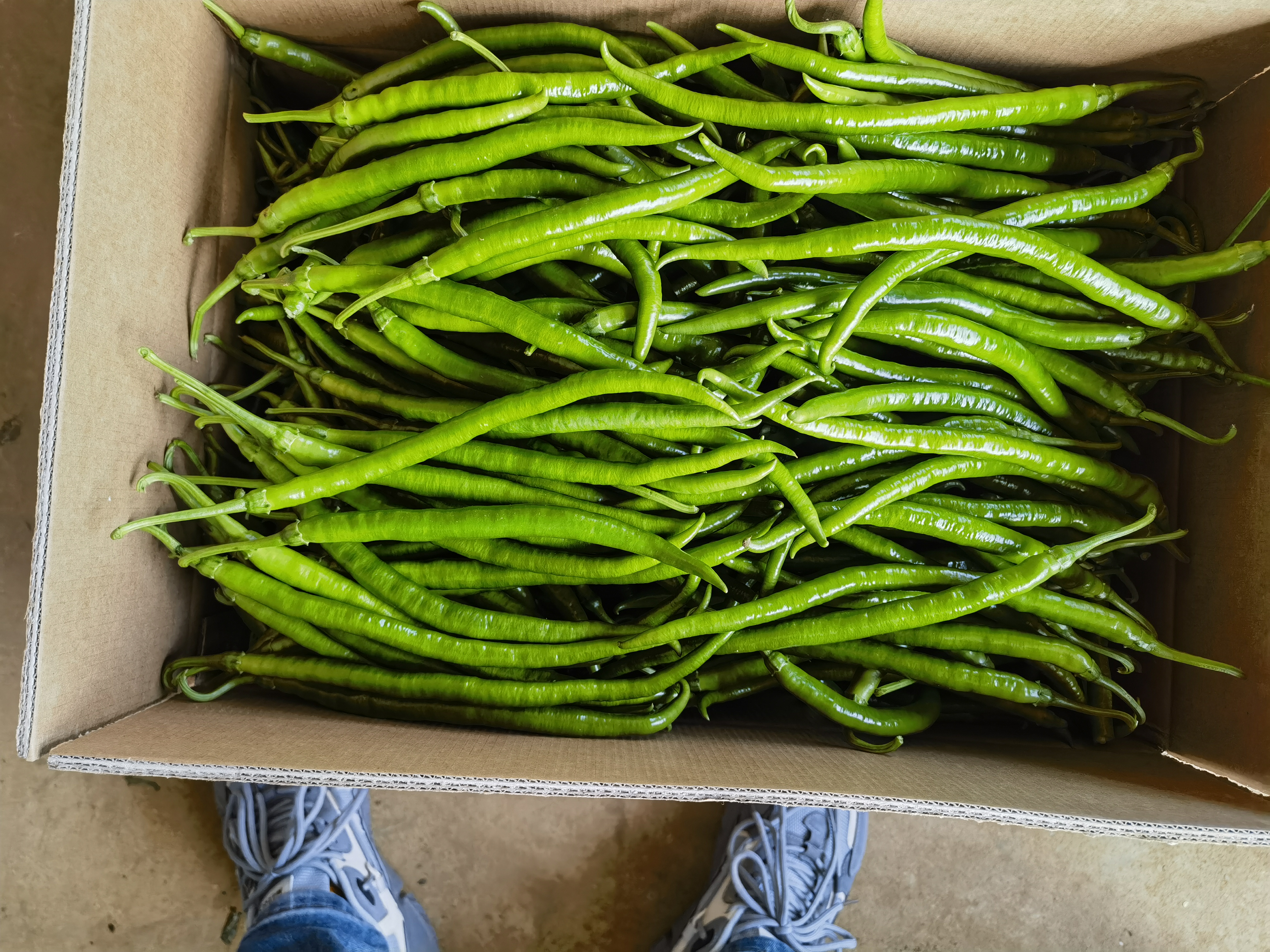 厨房中正在烹饪的螺丝椒菜肴