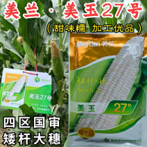 【正品】美玉27甜糯玉米种子甜糯1：3大棒型口感好