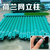 荷兰网立柱铁丝网栏杆杆子燕尾柱刺绳立柱铁立杆支架支撑车间