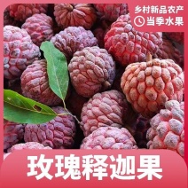 释迦果玫瑰红新鲜当季热带水果软糯香甜红皮凤梨释迦佛头果特