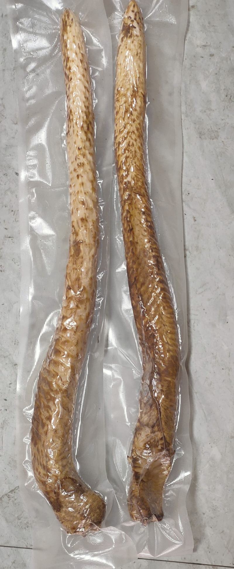 [肉苁蓉批发]甘肃酒泉肃州区肉苁蓉 140.00元/斤甘肃酒泉 _ 一亩田