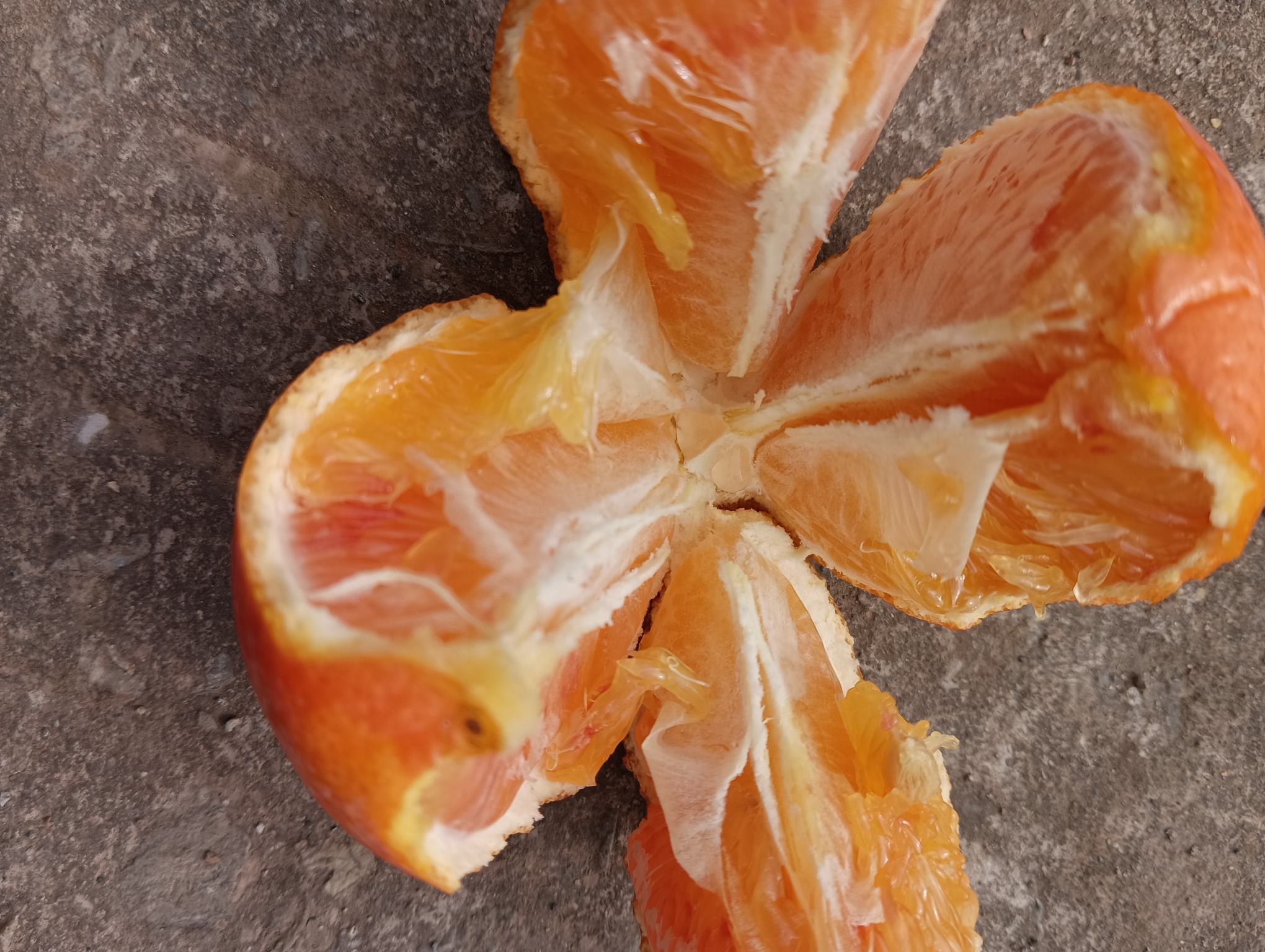 血橙果肉颜色不均匀的特写